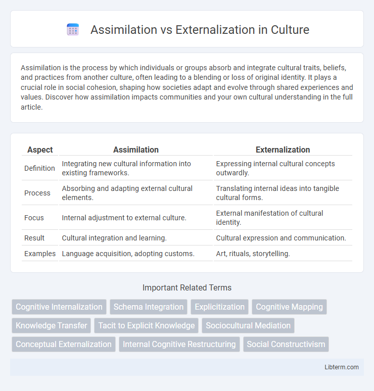 Externalization vs Assimilation in Culture - What is The Difference?