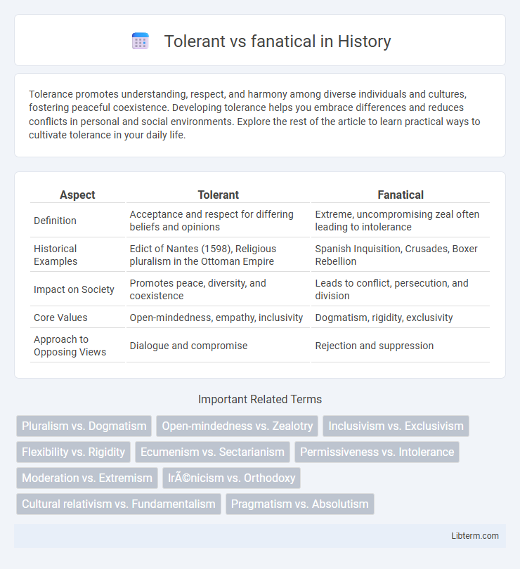 fanatical vs Tolerant in History - What is The Difference?