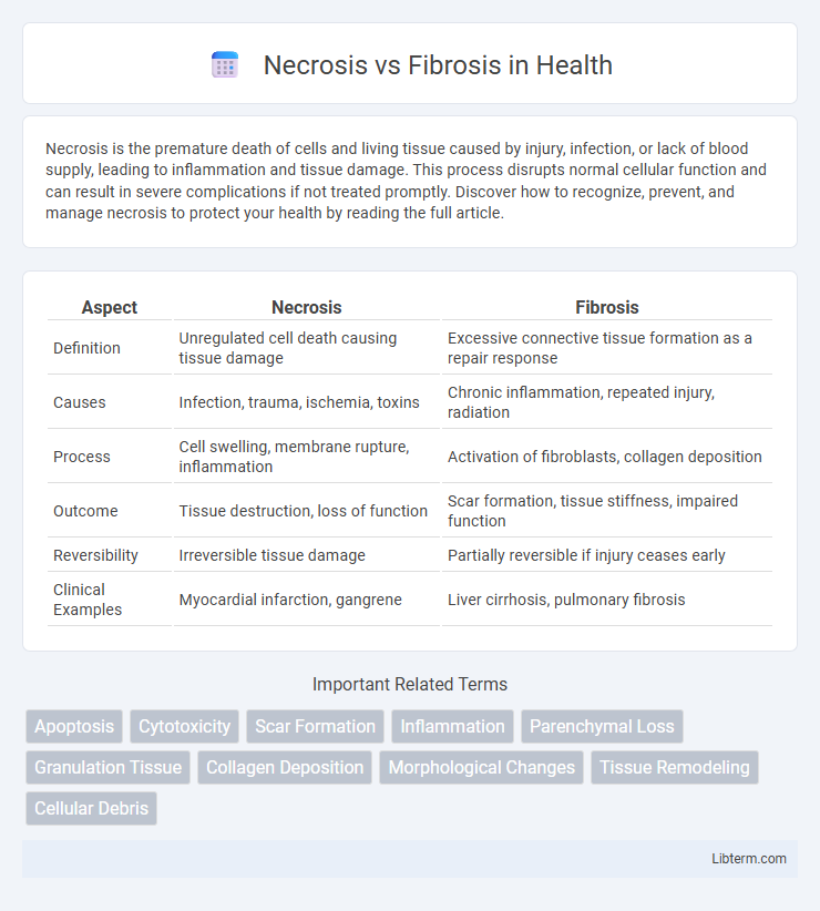 Fibrosis vs Necrosis in Health - What is The Difference?