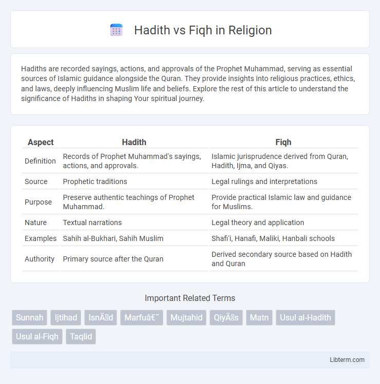 Fiqh vs Hadith in Religion - What is The Difference?