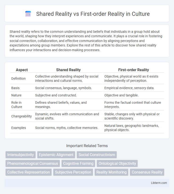 First-order Reality vs Shared Reality in Culture - What is The Difference?