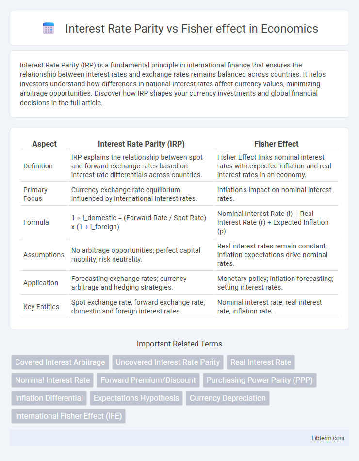 Fisher effect vs Interest Rate Parity in Economics - What is The Difference?