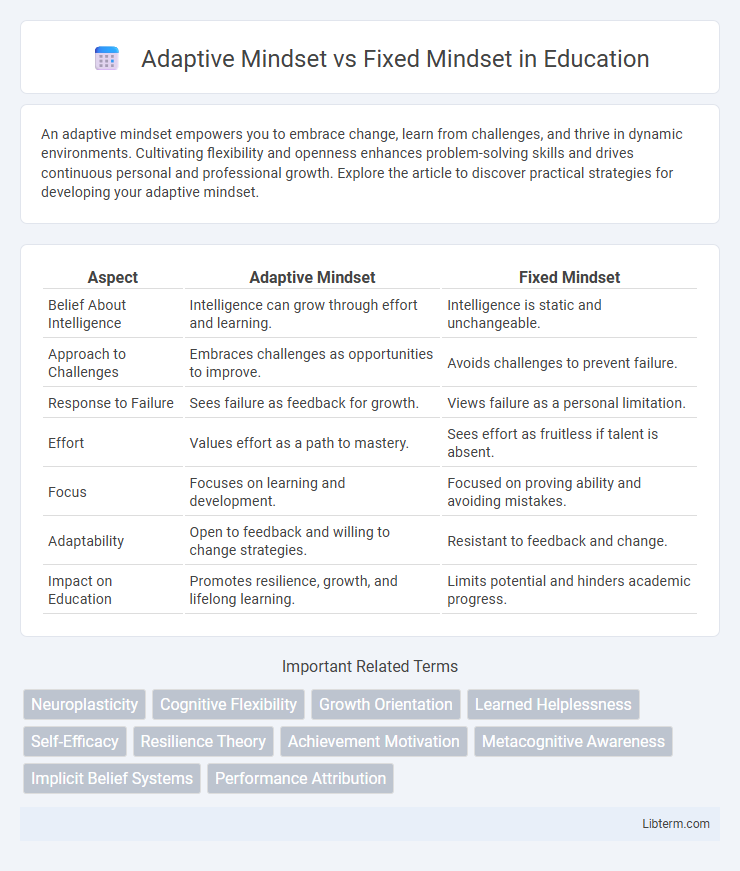 Fixed Mindset vs Adaptive Mindset in Education - What is The Difference?