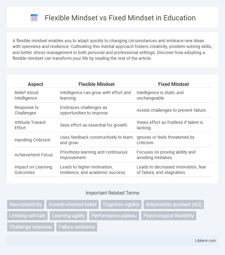 Fixed Mindset vs Flexible Mindset in Education - What is The Difference?