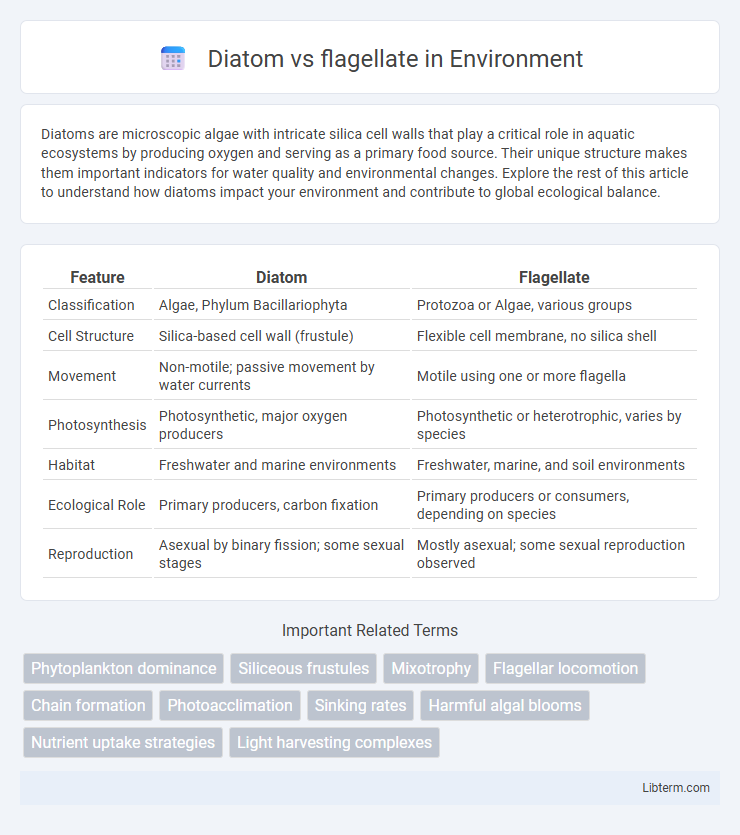 flagellate vs Diatom in Environment - What is The Difference?