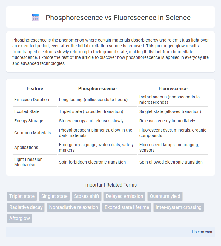 Fluorescence vs Phosphorescence in Science - What is The Difference?
