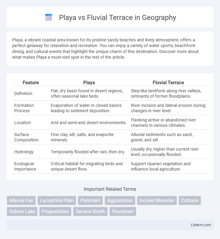 Fluvial Terrace vs Playa in Geography - What is The Difference?
