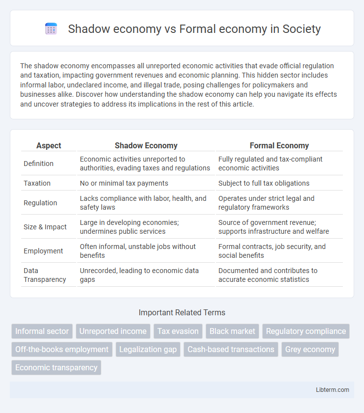 Formal economy vs Shadow economy in Society - What is The Difference?
