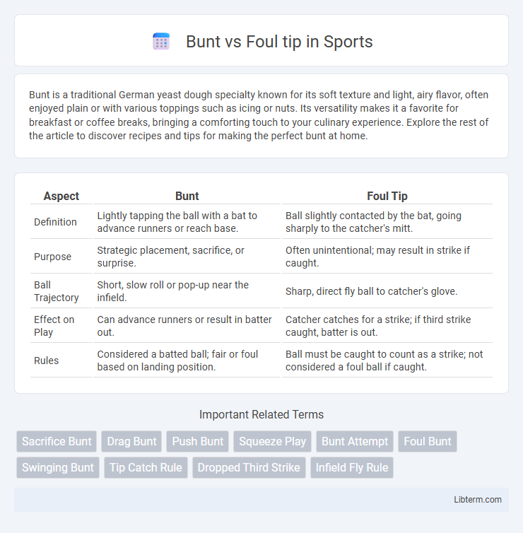 Foul tip vs Bunt in Sports - What is The Difference?