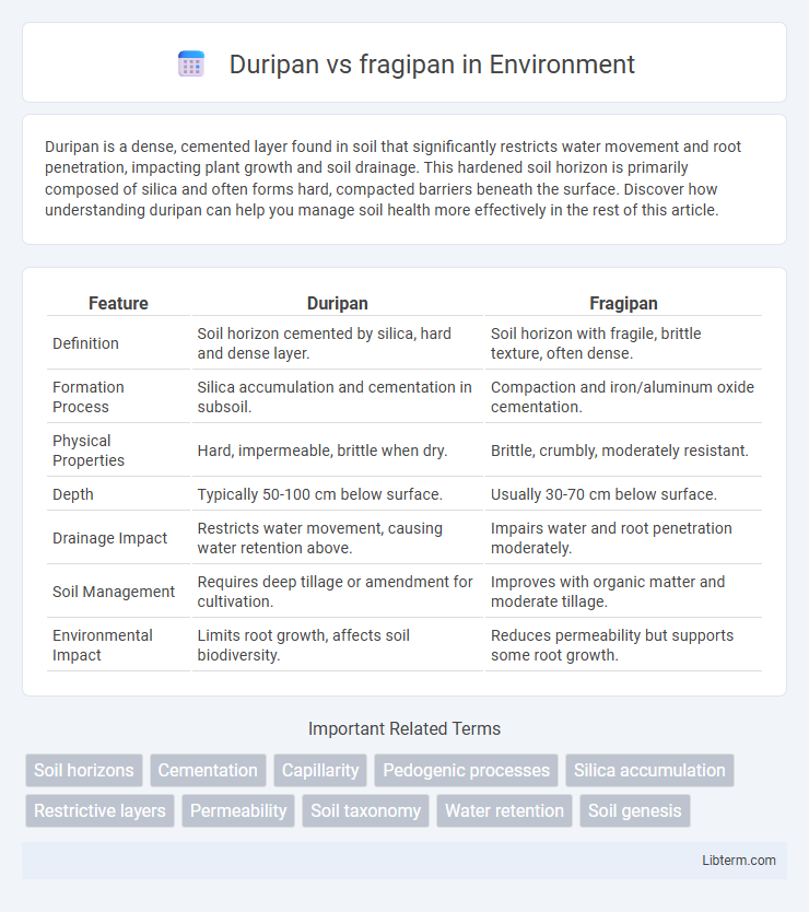 fragipan vs Duripan in Environment - What is The Difference?