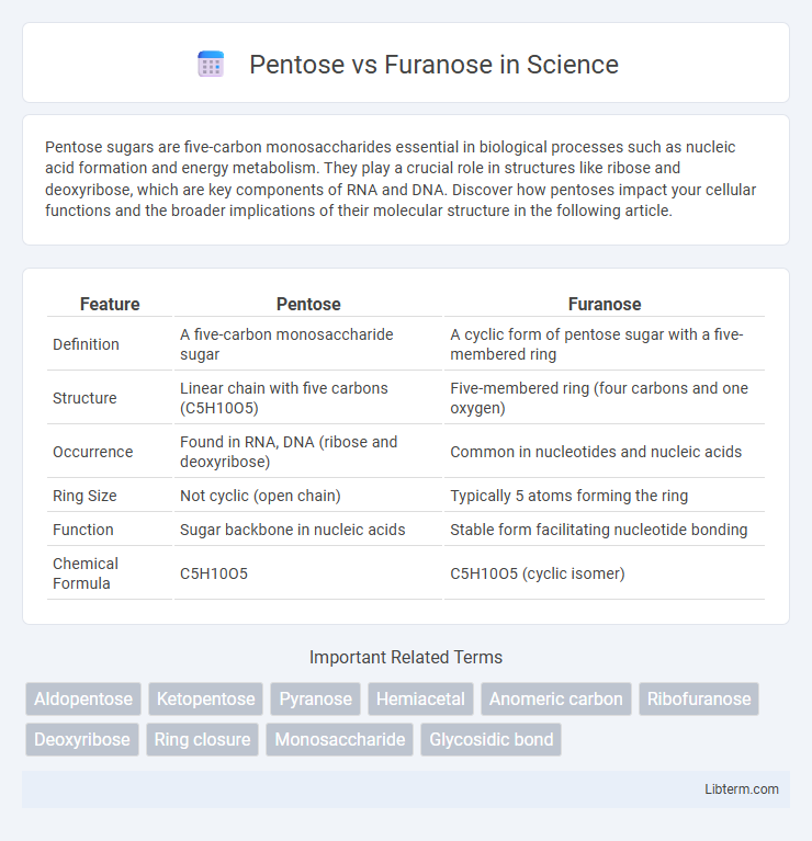 Furanose vs Pentose in Science - What is The Difference?