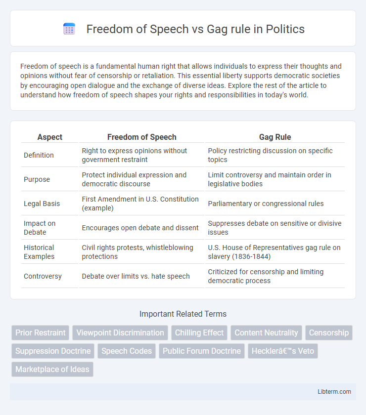 Gag rule vs Freedom of Speech in Politics - What is The Difference?