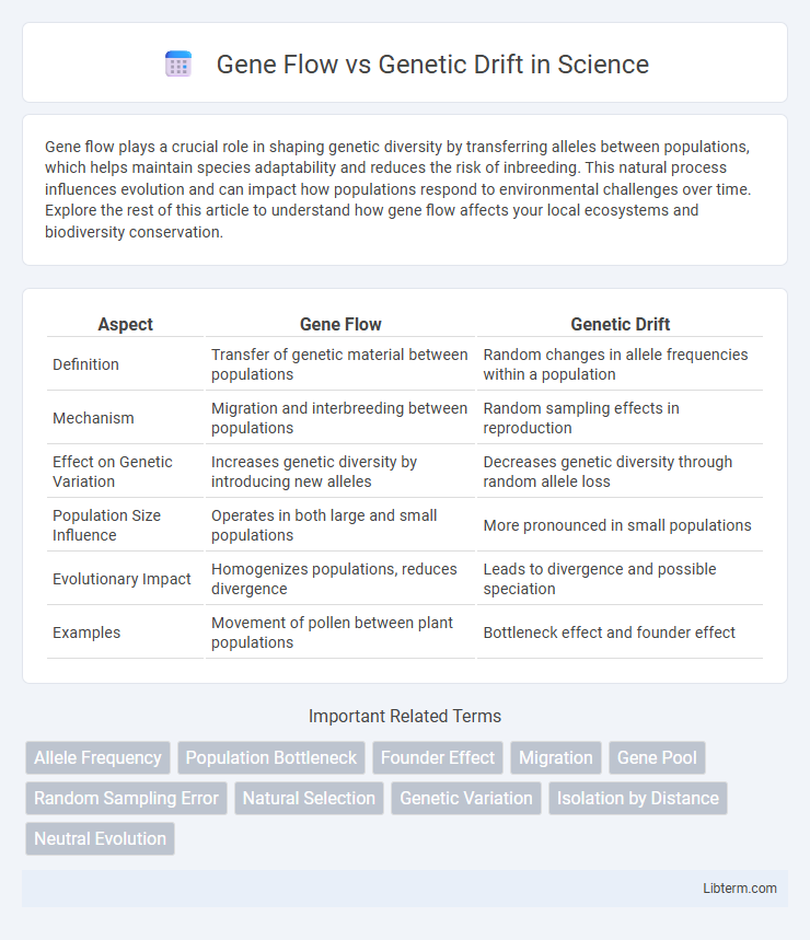 Genetic Drift vs Gene Flow in Science - What is The Difference?