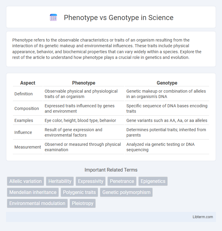 Genotype vs Phenotype in Science - What is The Difference?