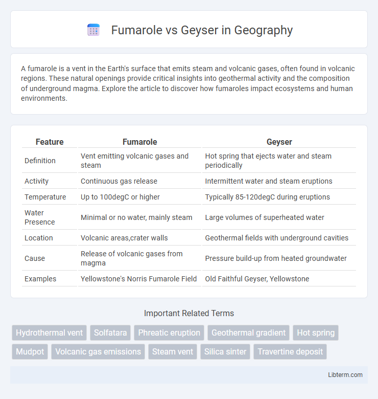 Geyser vs Fumarole in Geography - What is The Difference?