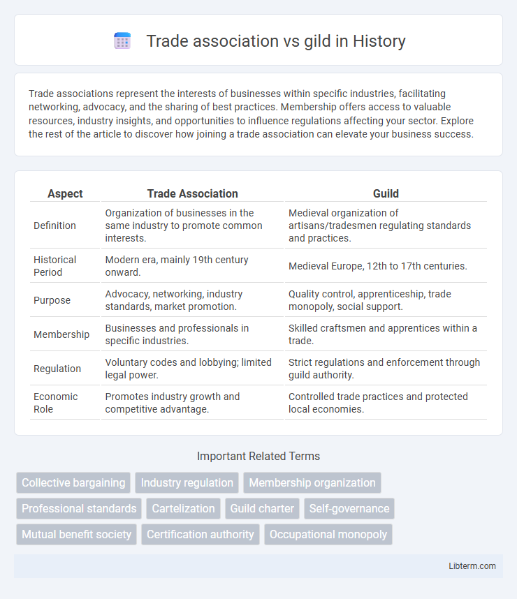 gild vs Trade association in History - What is The Difference?