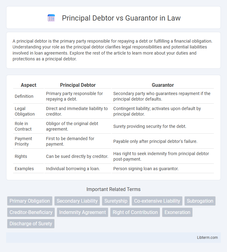 Guarantor vs Principal Debtor in Law - What is The Difference?