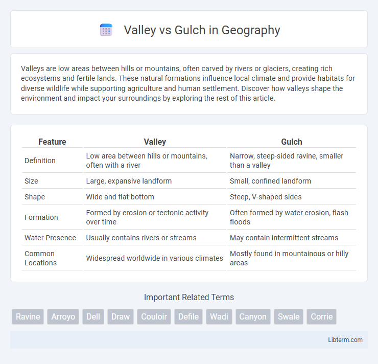 Gulch vs Valley in Geography - What is The Difference?