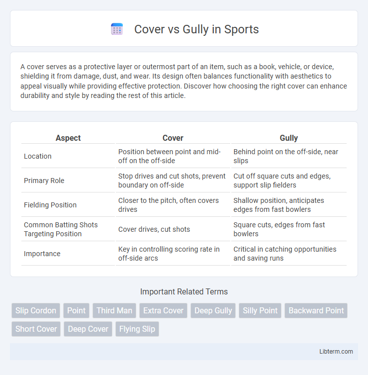 Gully vs Cover in Sports - What is The Difference?