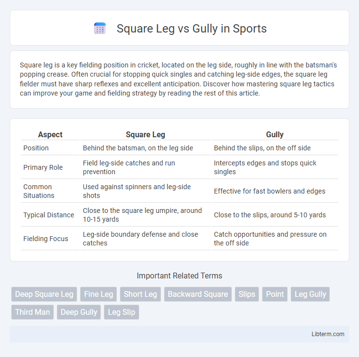 Gully vs Square Leg in Sports - What is The Difference?