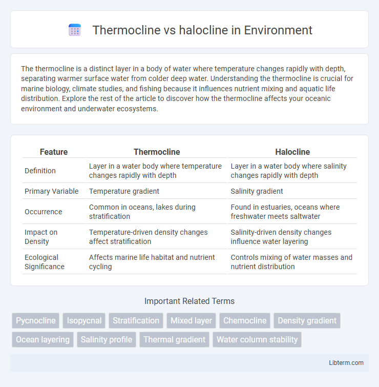 halocline vs Thermocline in Environment - What is The Difference?