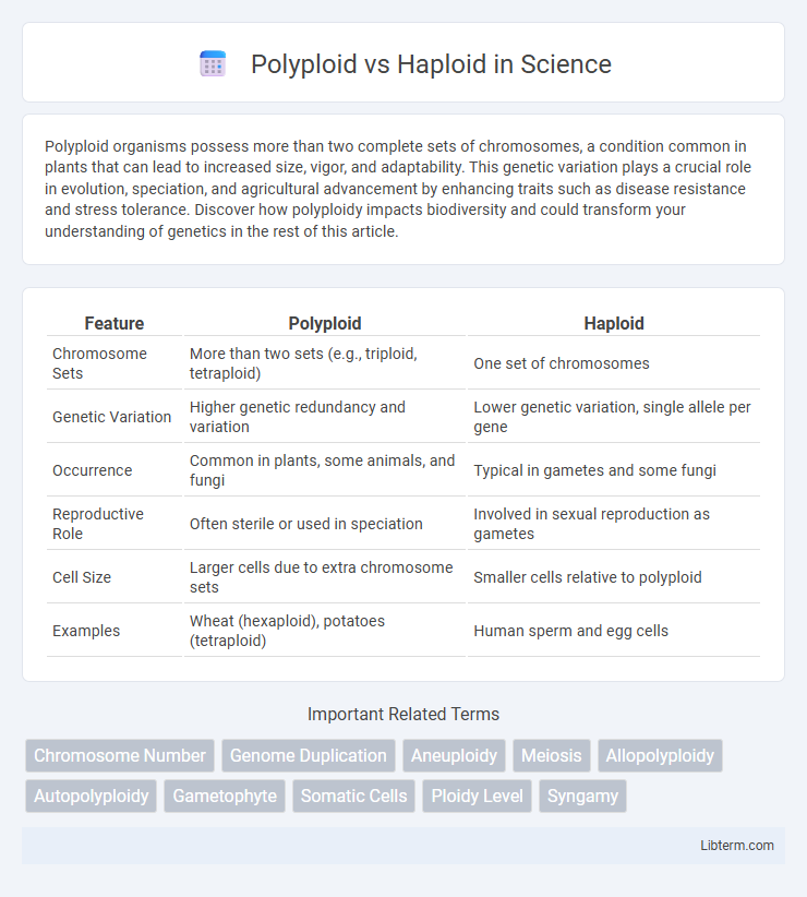 Haploid vs Polyploid in Science - What is The Difference?