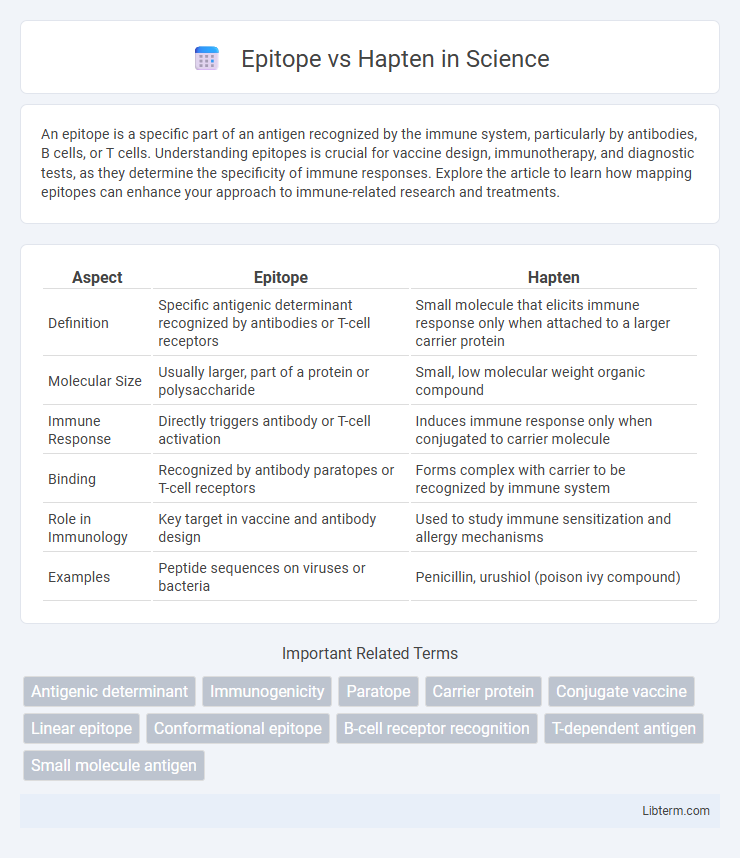 Hapten vs Epitope in Science - What is The Difference?