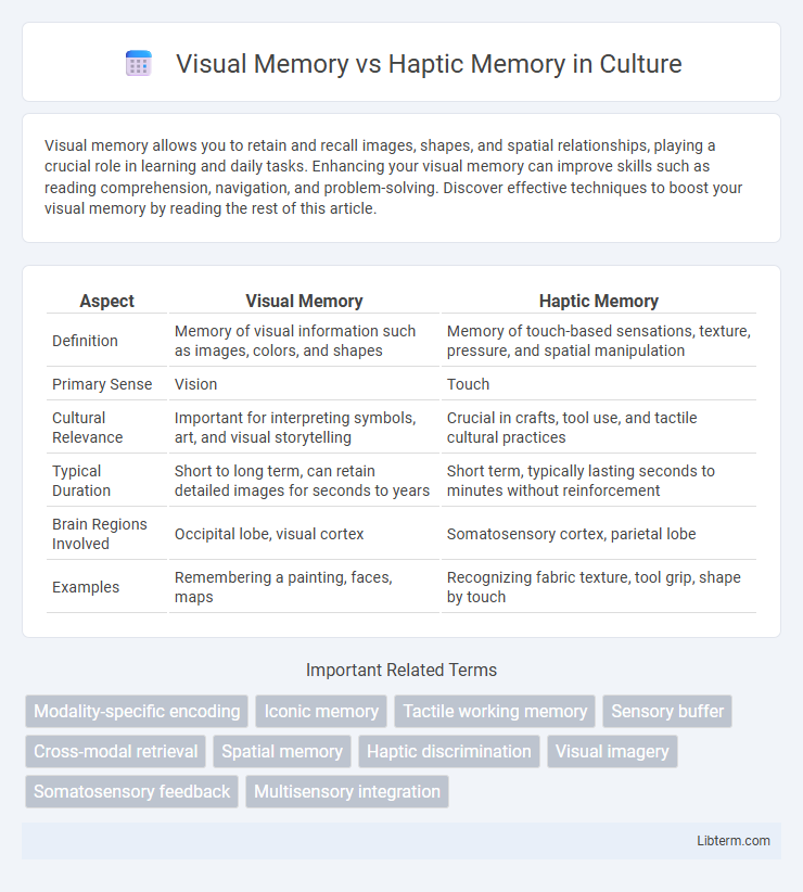 Haptic Memory vs Visual Memory in Culture - What is The Difference?