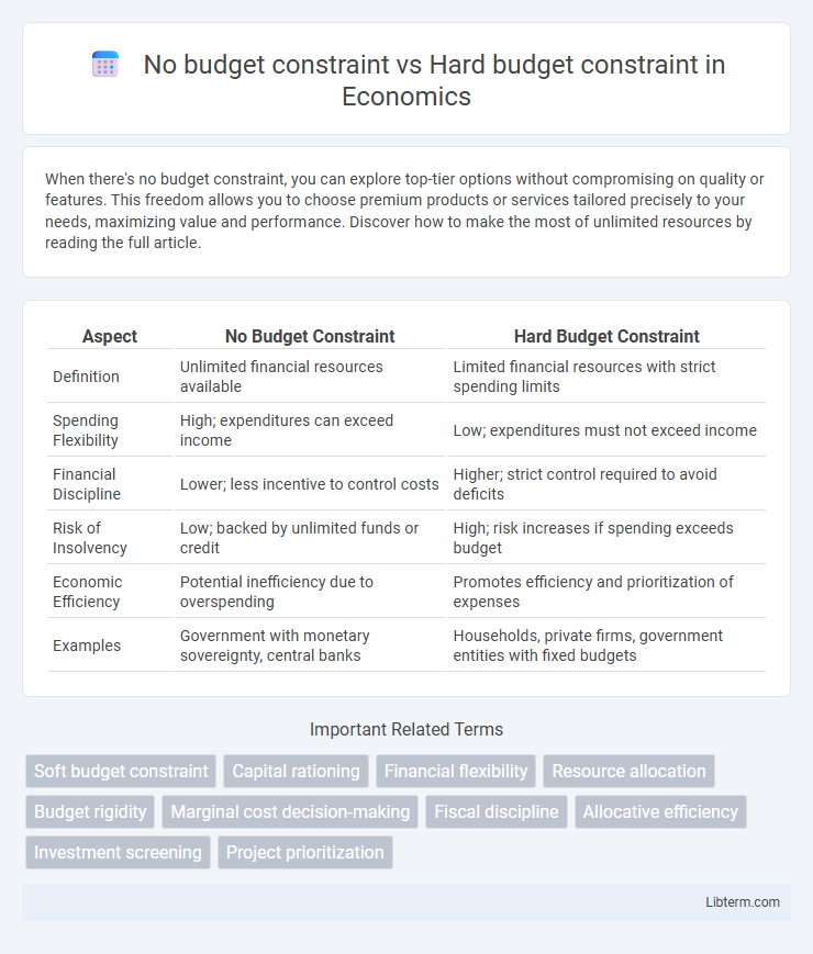 Hard budget constraint vs No budget constraint in Economics - What is The Difference?