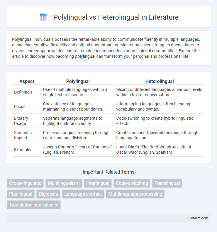 Heterolingual vs Polylingual in Literature - What is The Difference?