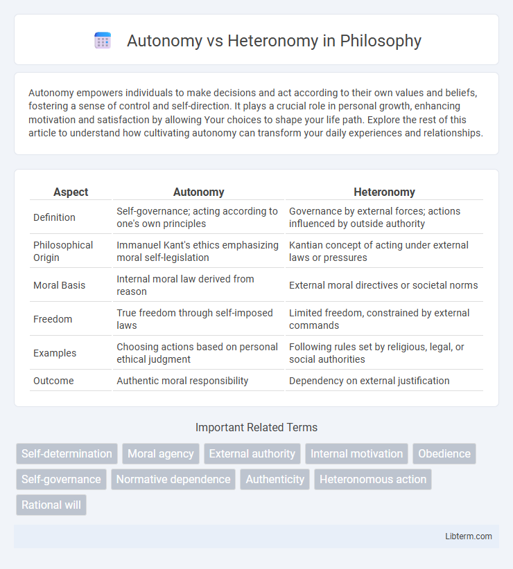 Heteronomy vs Autonomy in Philosophy - What is The Difference?
