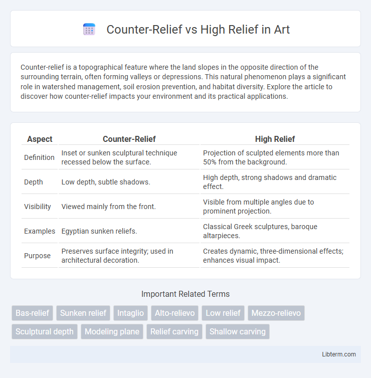 High Relief vs Counter-Relief in Art - What is The Difference?