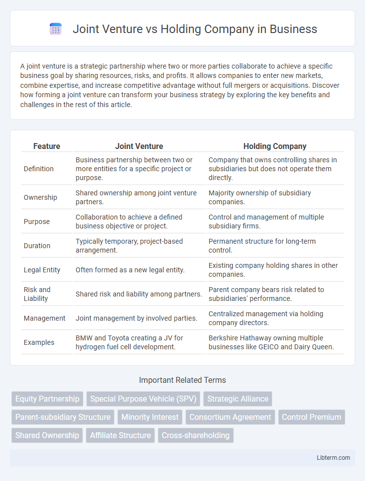 Holding Company vs Joint Venture in Business - What is The Difference?