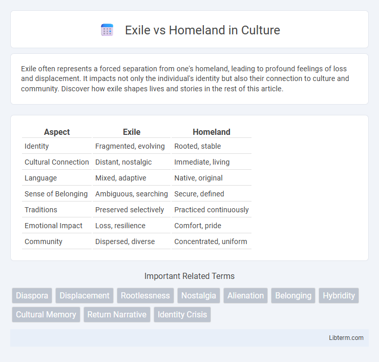 Homeland vs Exile in Culture - What is The Difference?