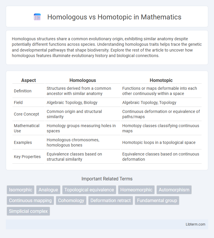 Homotopic vs Homologous in Mathematics - What is The Difference?