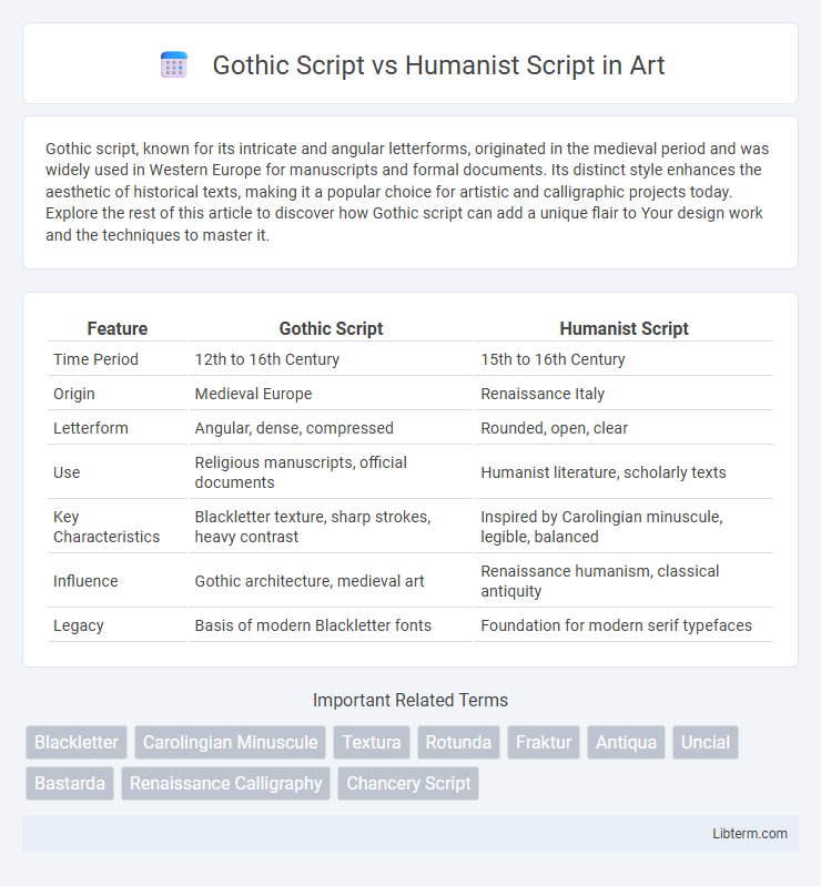 Humanist Script vs Gothic Script in Art - What is The Difference?