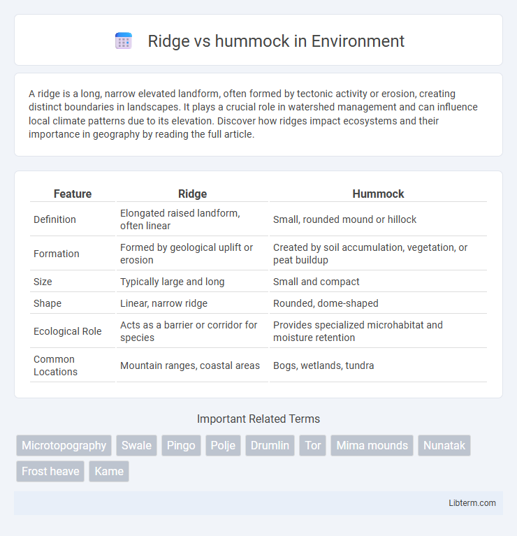hummock vs Ridge in Environment - What is The Difference?