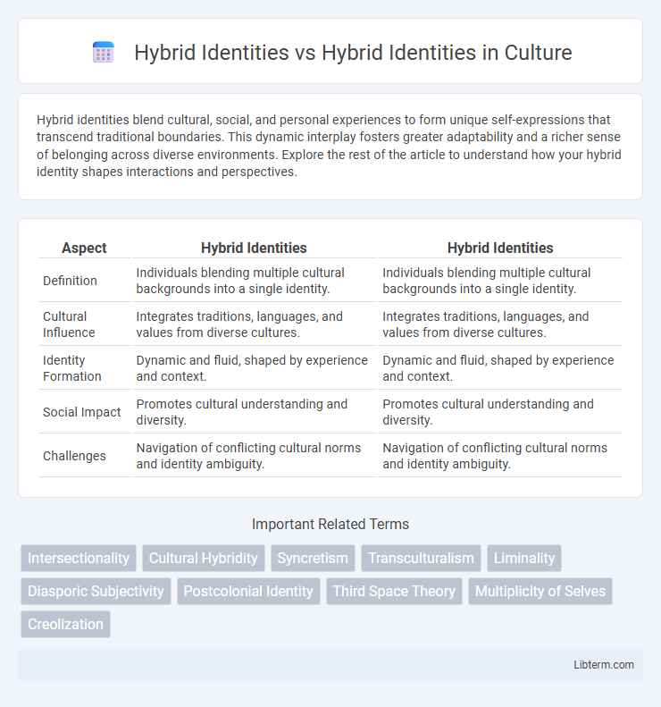 Hybrid Identities vs Hybrid Identities in Culture - What is The Difference?