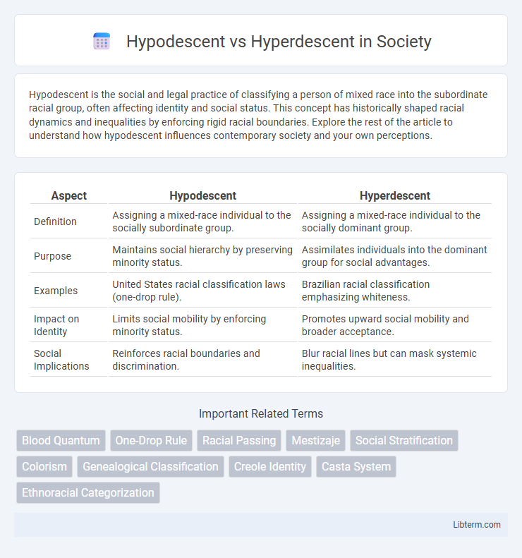 Hyperdescent vs Hypodescent in Society - What is The Difference?