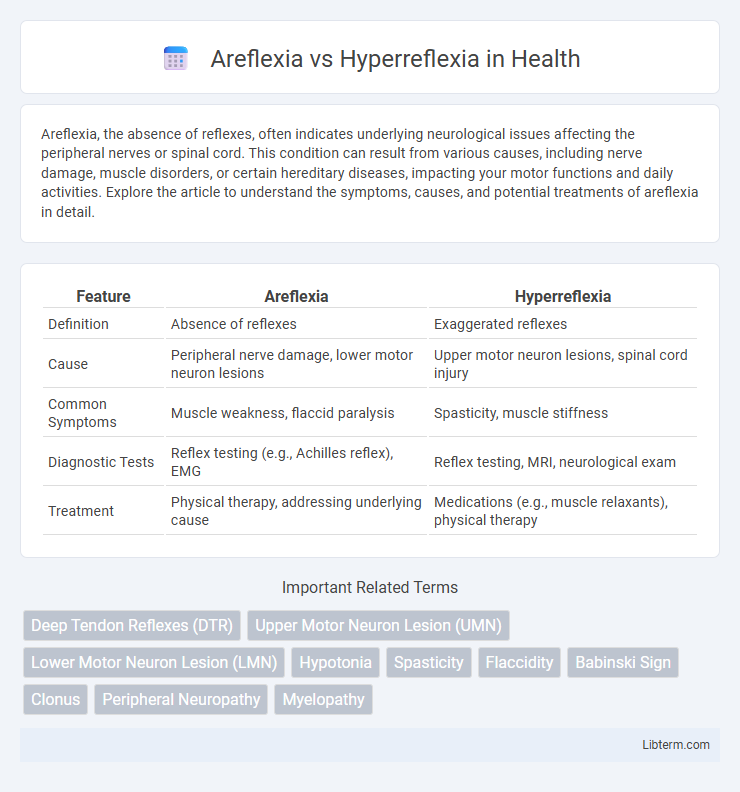 Hyperreflexia vs Areflexia in Health - What is The Difference?