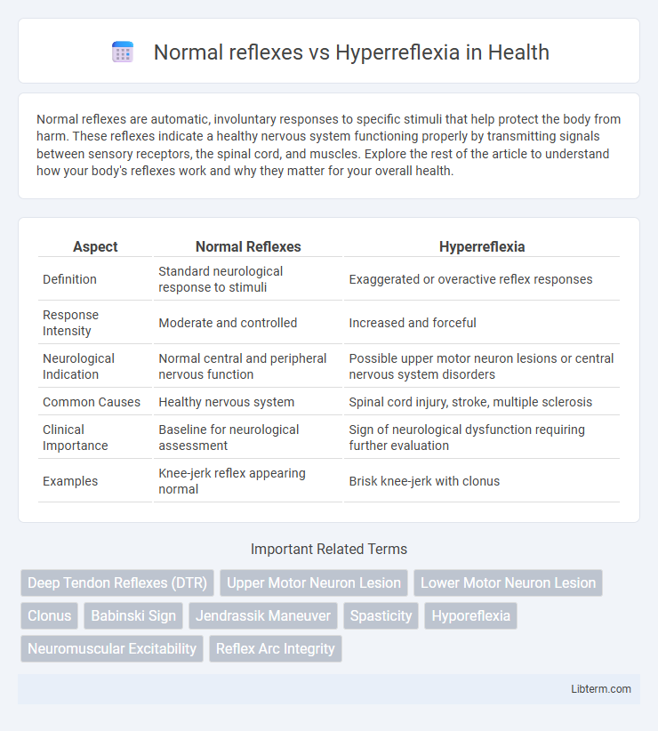 Hyperreflexia vs Normal reflexes in Health - What is The Difference?