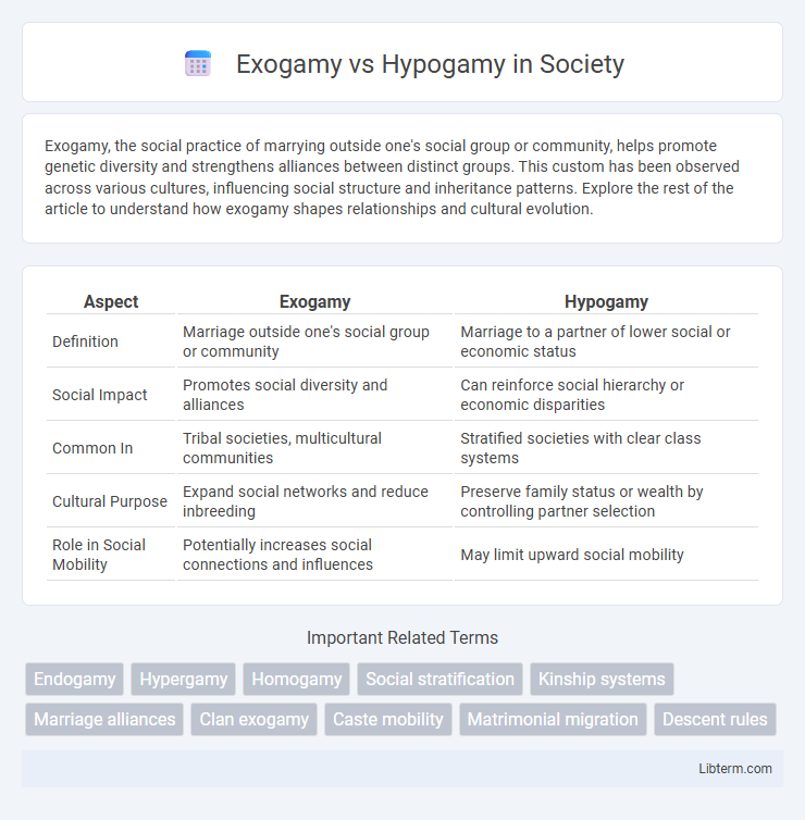 Hypogamy vs Exogamy in Society - What is The Difference?
