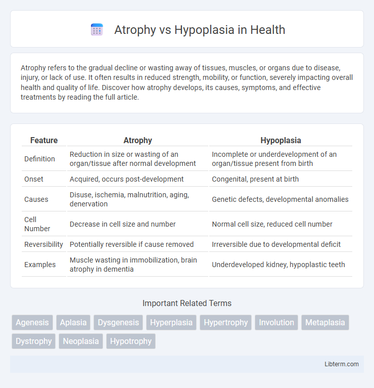 Hypoplasia vs Atrophy in Health - What is The Difference?