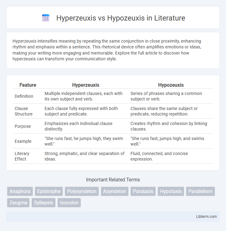 Hypozeuxis vs Hyperzeuxis in Literature - What is The Difference?