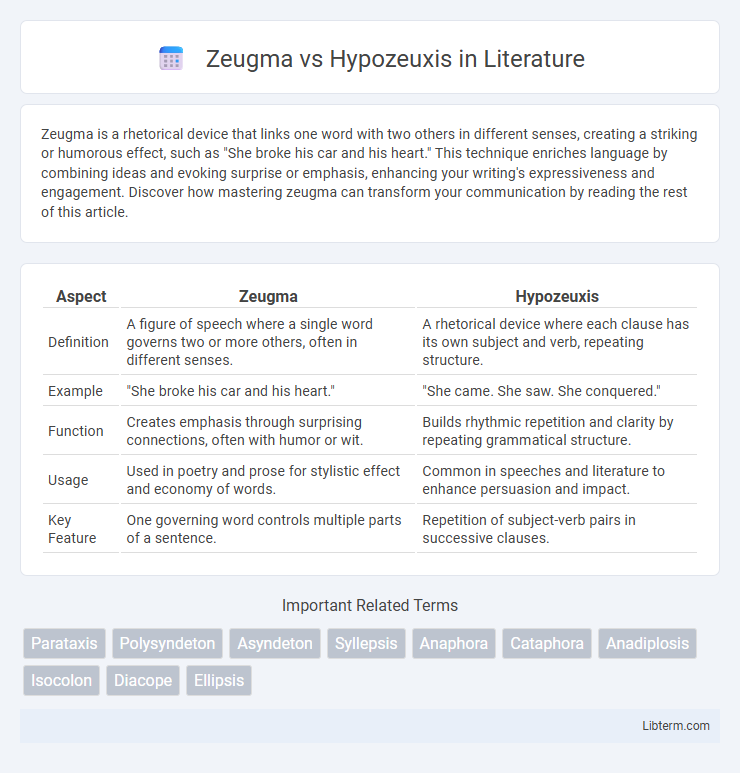 Hypozeuxis vs Zeugma in Literature - What is The Difference?
