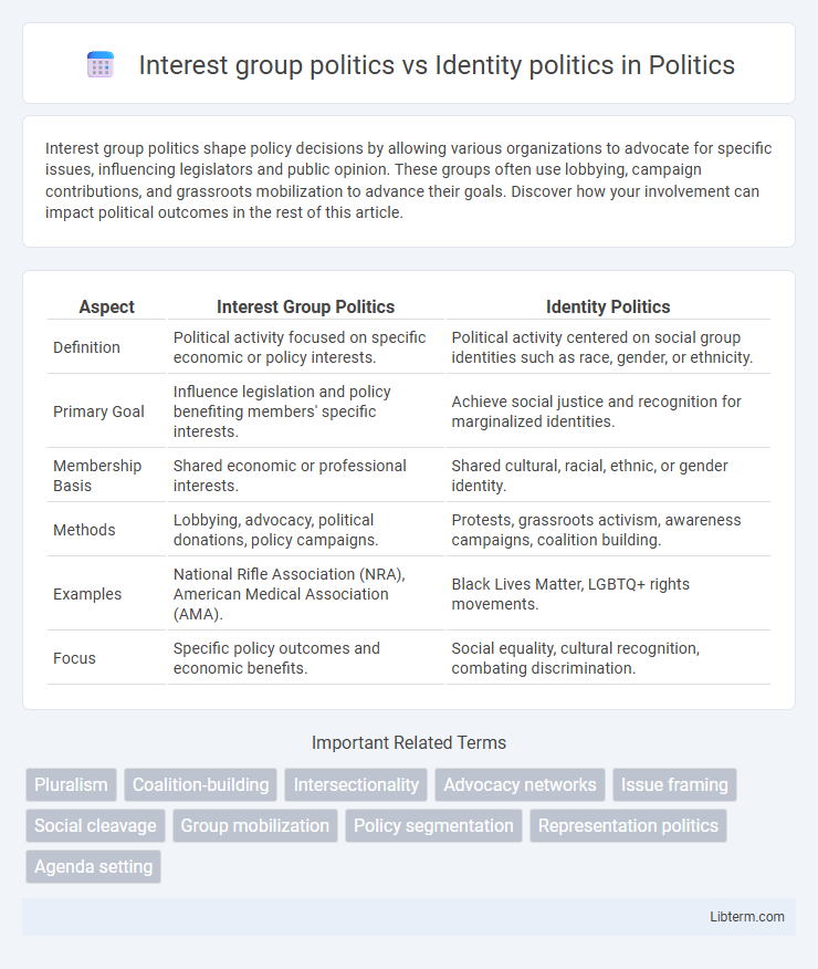 Identity politics vs Interest group politics in Politics - What is The Difference?