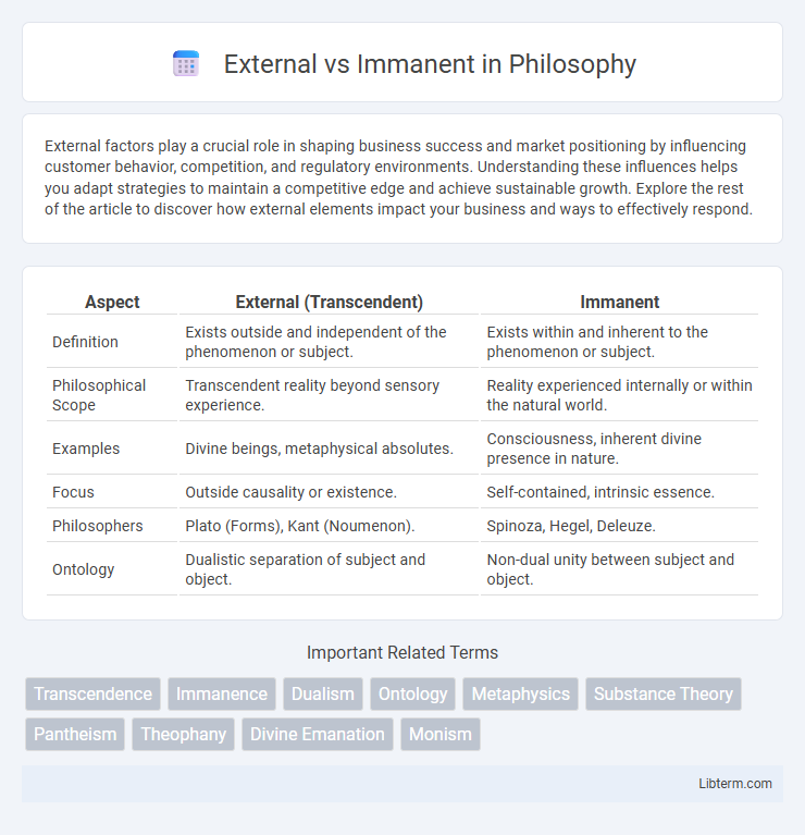 Immanent vs External in Philosophy - What is The Difference?