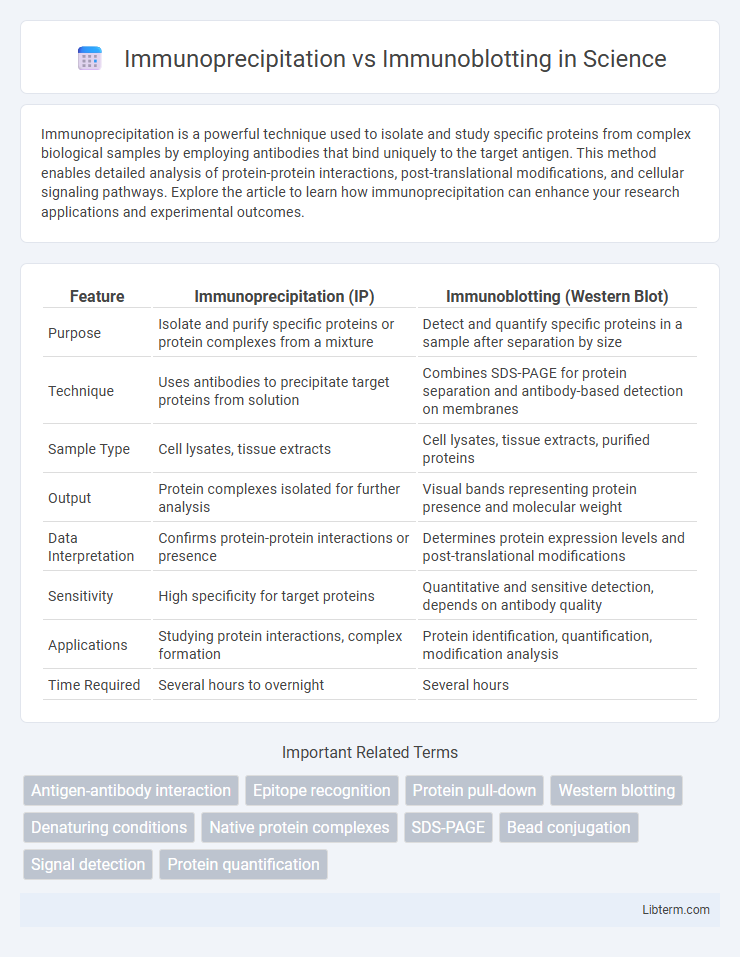 Immunoblotting vs Immunoprecipitation in Science - What is The Difference?