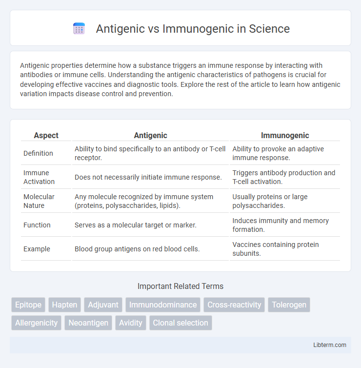 Immunogenic vs Antigenic in Science - What is The Difference?