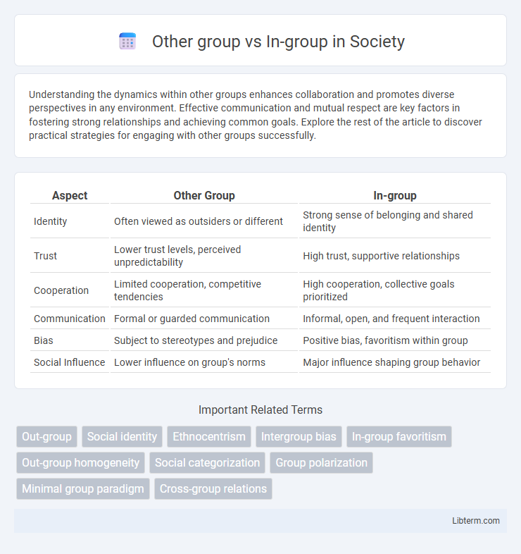 In-group vs Other group in Society - What is The Difference?